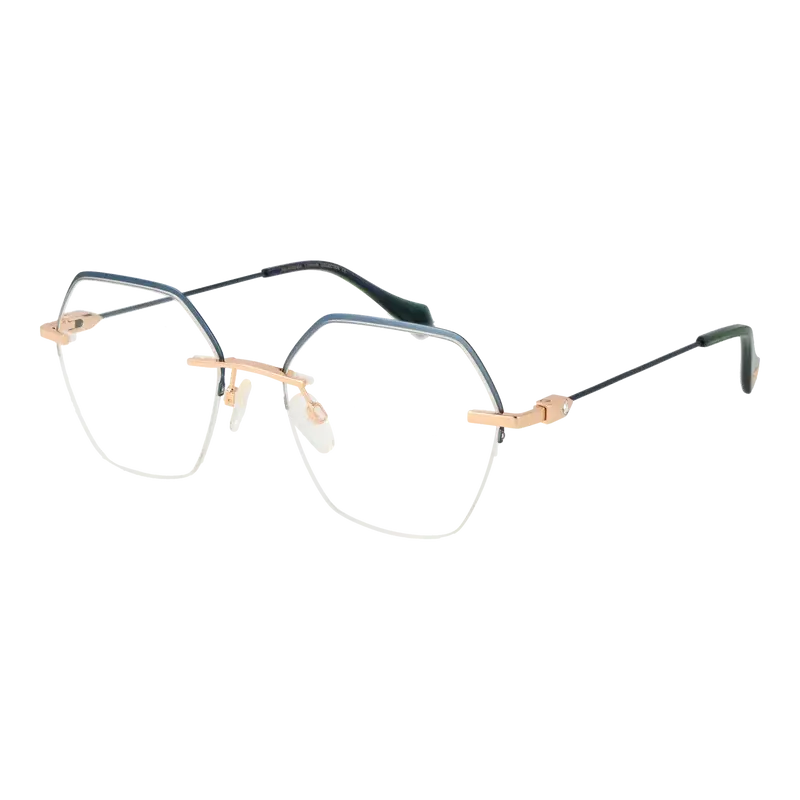 Ana Hickmann Optical Frames AH1492T 12A 55