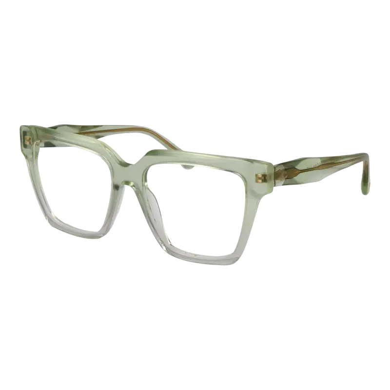 Ana Hickmann Optical Frames AH6522 C01 55
