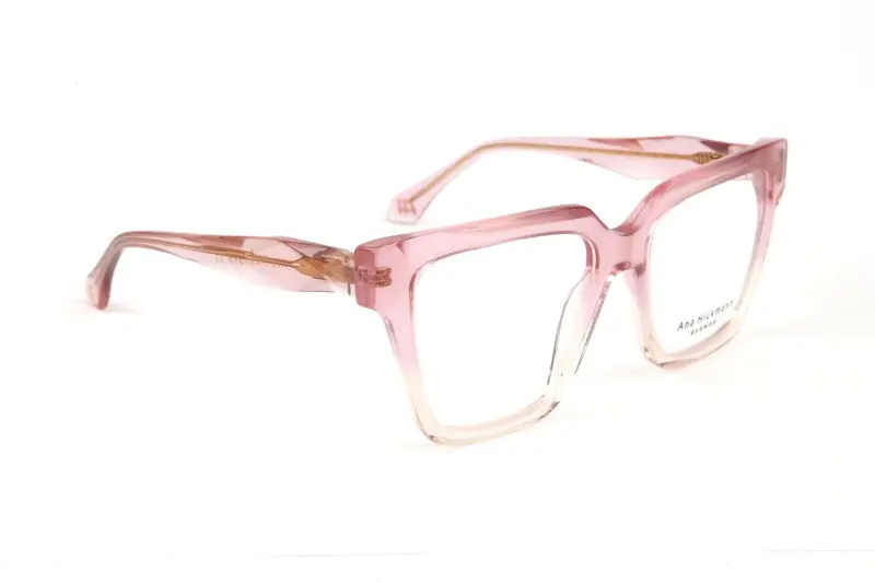 Ana Hickmann Optical Frames AH6522 C02 55
