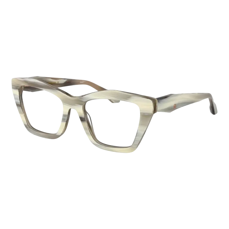Ana Hickmann Optical Frames AH6530 E03 52
