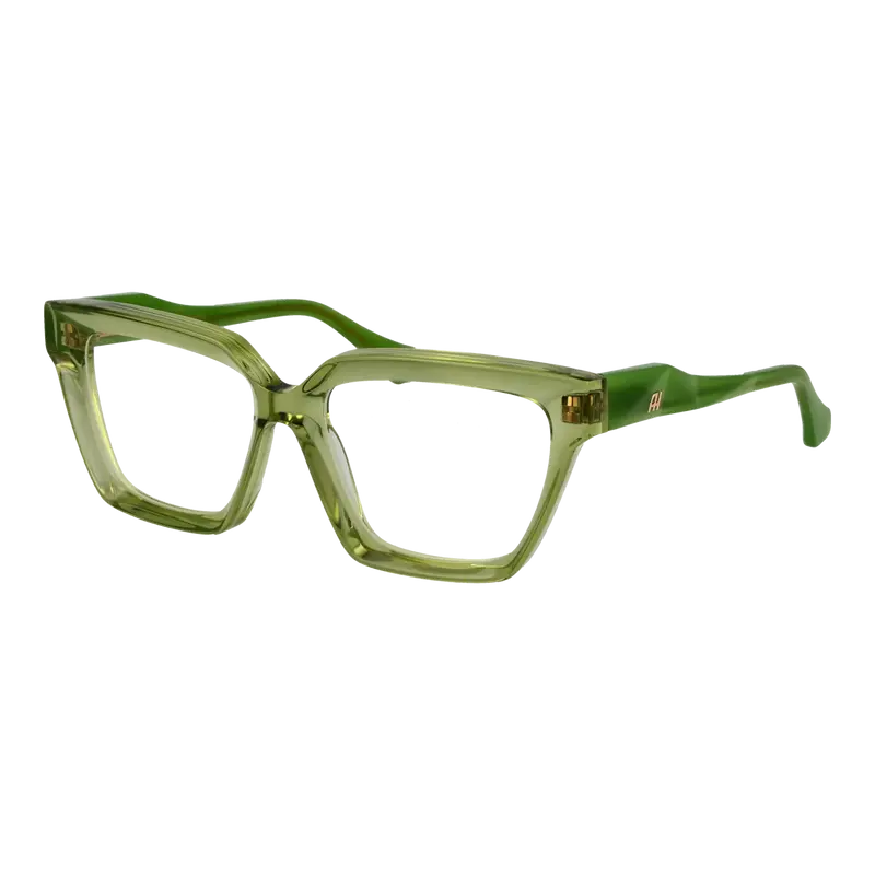 Ana Hickmann Optical Frames AH6596 T01 53
