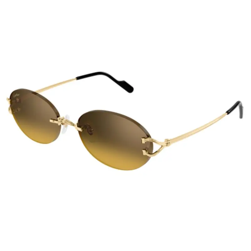 CARTIER - CT0551S-009
