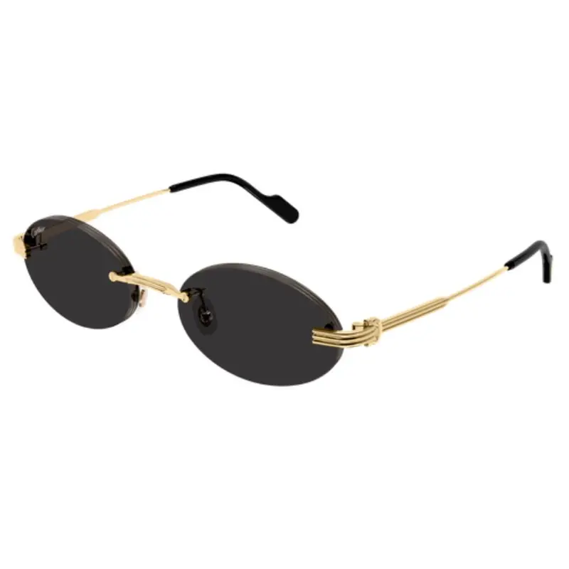 CARTIER - CT0615S-006