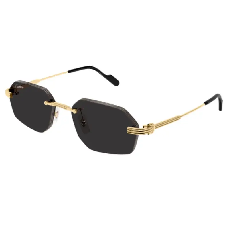 CARTIER - CT0616S-001
