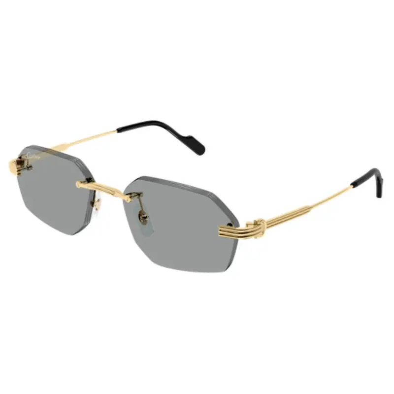 CARTIER - CT0616S-004