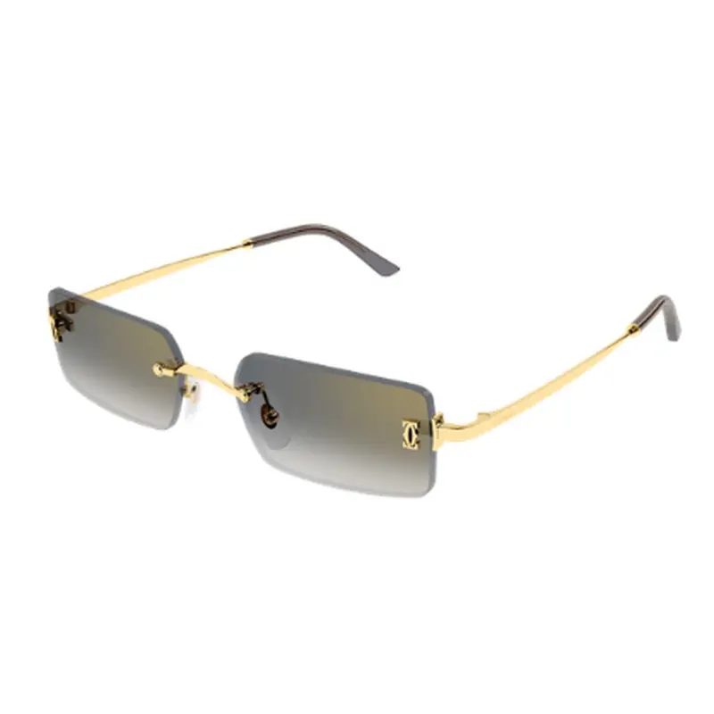 CARTIER - CT0672S-001
