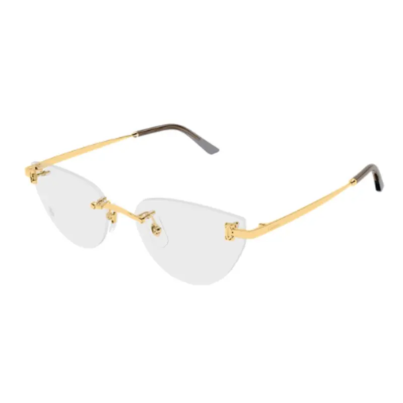 CARTIER - CT0673O-001