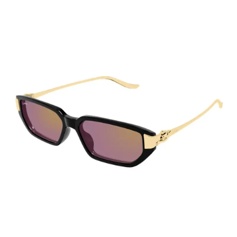 CARTIER - CT0674S-004
