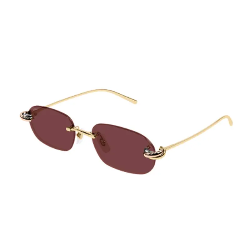 CARTIER - CT0686S-004