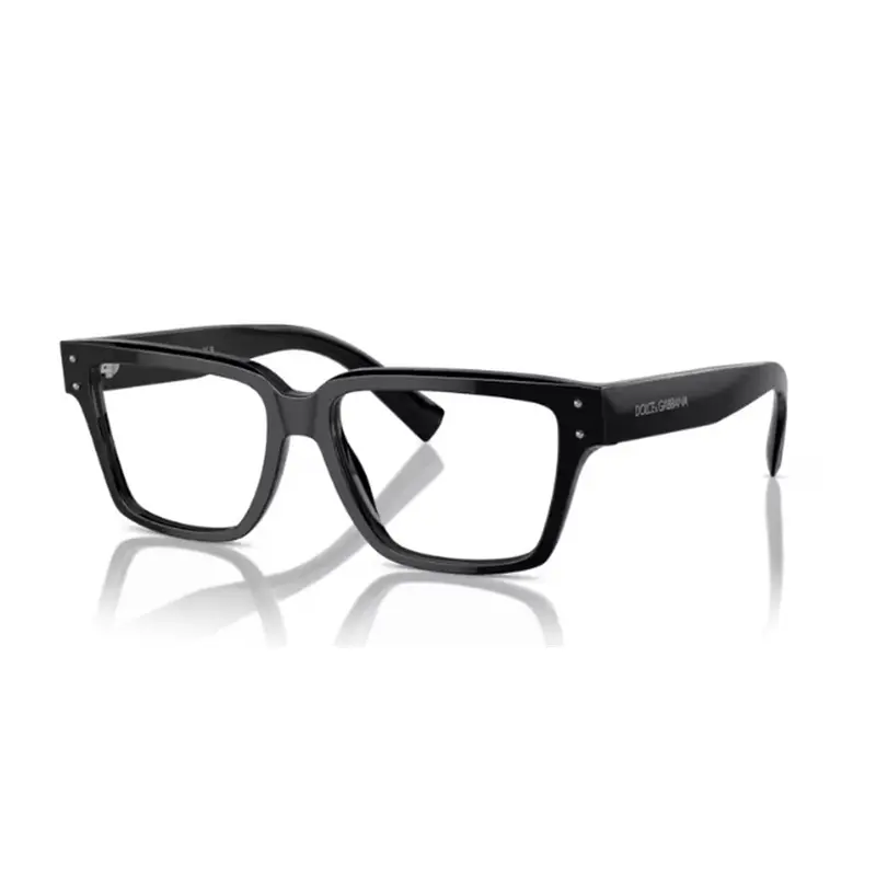 DOLCE & GABBANA - DG3383 501