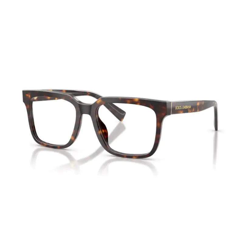 DOLCE & GABBANA - DG3422 502