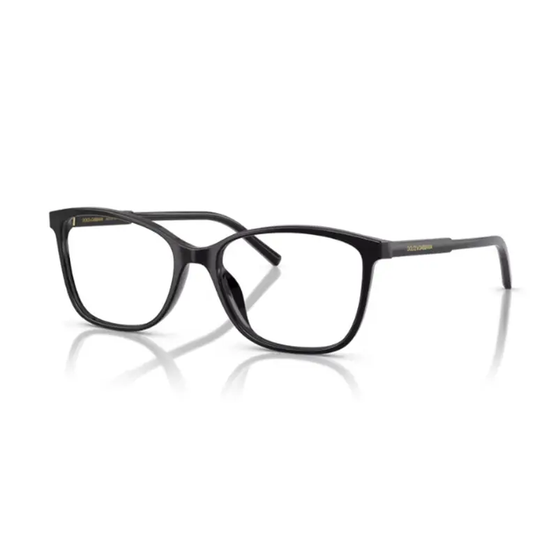 DOLCE & GABBANA - DG3424 501