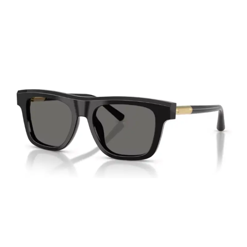 DOLCE & GABBANA - DG4521 501/1