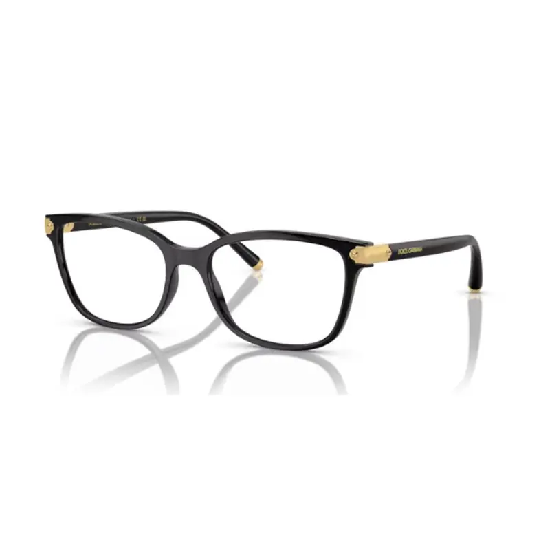 DOLCE & GABBANA - DG5036 501