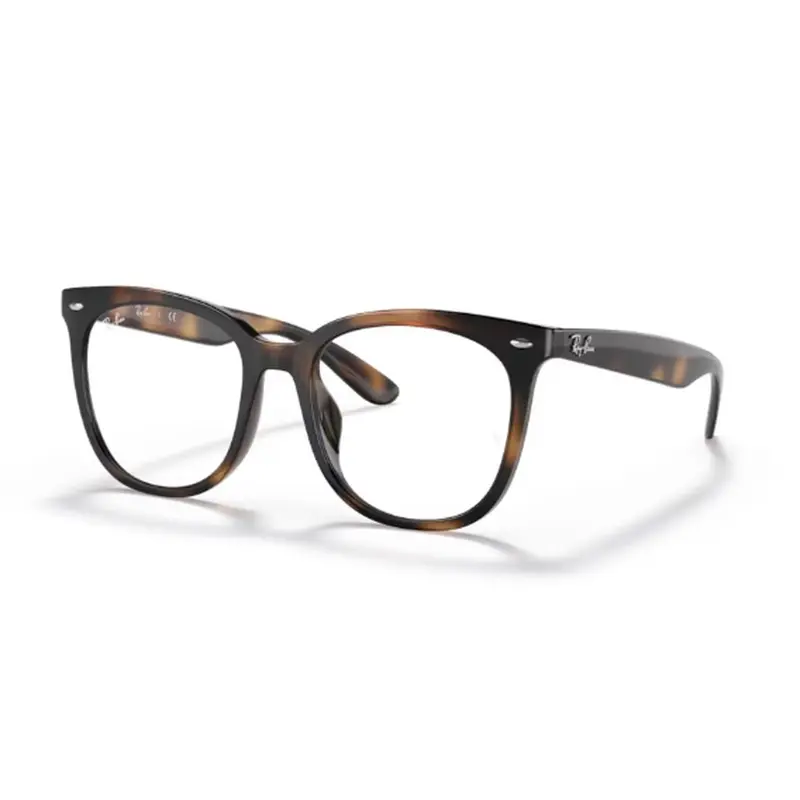 RAY-BAN - RX4379VD 2012